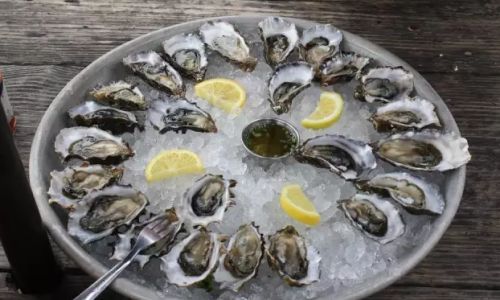 The Ultimate Guide to Preparing and Serving Chilled Oysters:A Gourmet Experience at Home