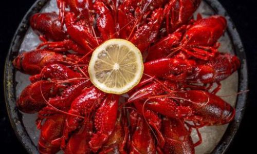 Mastering the Art of Chilled Lobster:A Step-by-Step Guide to Perfecting This Refined Delicacy