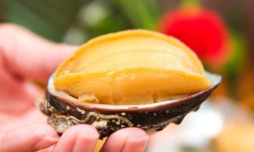 The Art of Crafting Perfect Chilled Abalone Sashimi:A Step-by-Step Guide