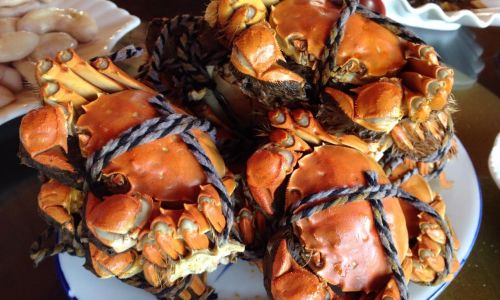 Mastering the Art of Steaming Snow Crab:Perfect Timing for Culinary Excellence