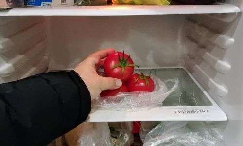The Great Debate:Is Your Refrigerator the Best Place to Store Beer?