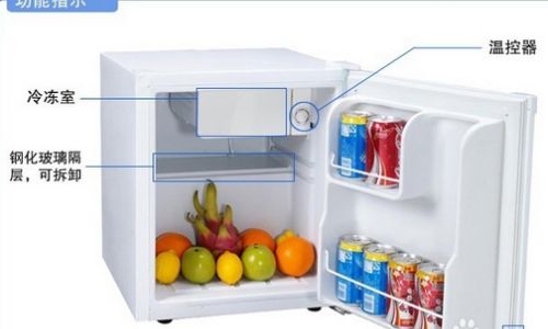 Essential Guidelines for Safe and Efficient Refrigerator Usage:A Comprehensive Guide