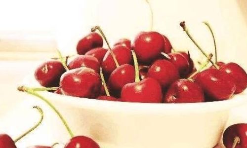 Can You Store Cherries in the Refrigerator?A Comprehensive Guide to Proper Storage and Preservation