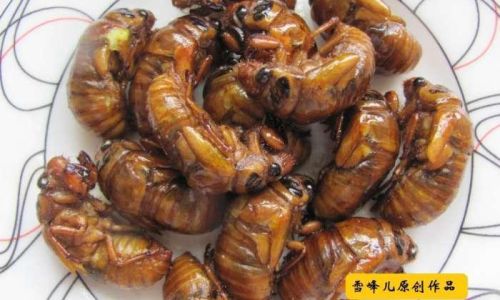 From Freezer to Feast:Mastering the Art of Cooking Frozen Golden Cicadas
