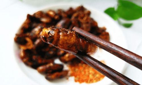 From Freezer to Feast:Mastering the Art of Cooking Frozen Golden Cicadas