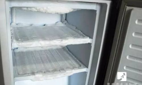 Mastering the Art of Reheating Refrigerated Fish:Optimal Microwave Times and Techniques