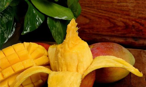 Can You Refrigerate Cooked Mango?A Comprehensive Guide to Storage,Safety,and Culinary Uses