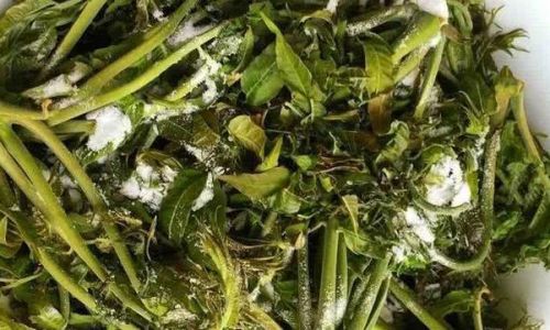 Creative Ways to Enjoy Frozen Toona Sinensis:From Freezer to Table Delights