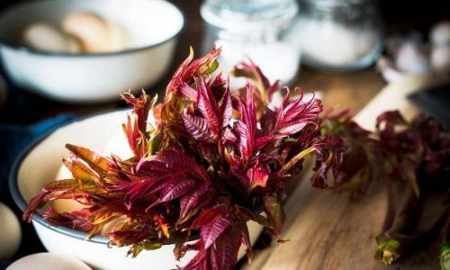 Creative Ways to Enjoy Frozen Toona Sinensis:From Freezer to Table Delights