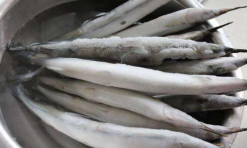 Mastering the Art of Cooking Frozen Fish:Tips,Techniques,and Delicious Recipes