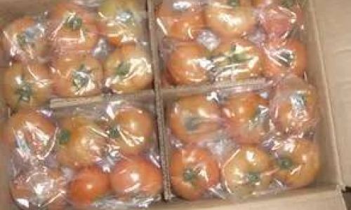 The Great Tomato Debate:Should You Store Tomatoes in the Refrigerator’s Fresh-Keeping Compartment?