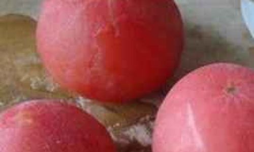 The Great Tomato Debate:Should You Store Tomatoes in the Refrigerator’s Fresh-Keeping Compartment?