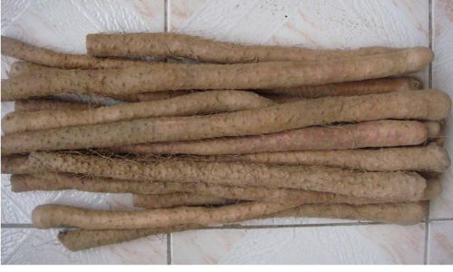 Maximizing Shelf Life:A Comprehensive Guide to Storing Yams in the Refrigerator