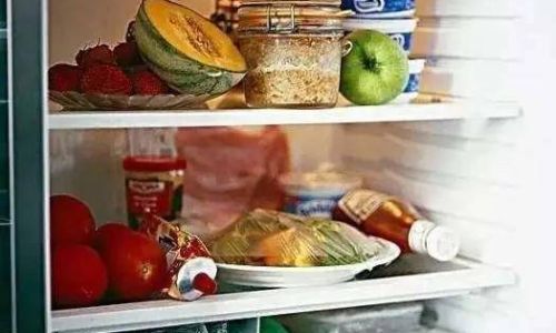 Optimizing Storage Duration:How Long Can Turtles Be Safely Stored in a Refrigerator?