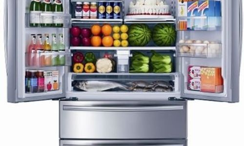 Optimizing Storage Duration:How Long Can Turtles Be Safely Stored in a Refrigerator?