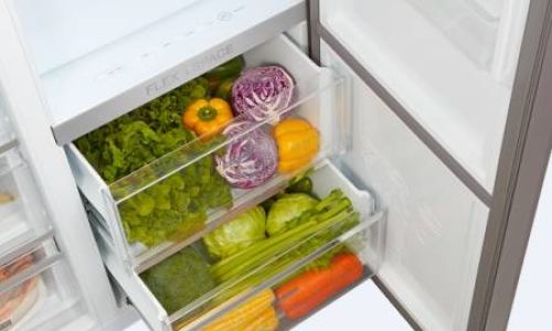 Optimizing Storage Duration:How Long Can Turtles Be Safely Stored in a Refrigerator?
