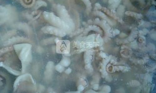 Mastering the Art of Cooking Frozen Octopus:Tips,Techniques,and Delicious Recipes