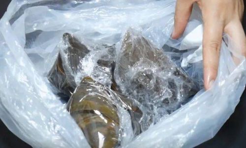 Can You Fry Frozen Zongzi Directly?A Comprehensive Guide to Safe and Delicious Results