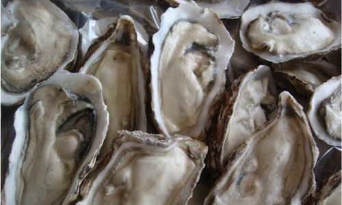 How to Determine the Viability of Frozen-Transported Oysters:A Comprehensive Guide