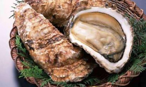 How to Determine the Viability of Frozen-Transported Oysters:A Comprehensive Guide