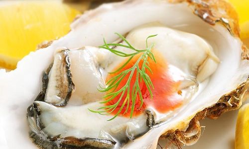 How to Determine the Viability of Frozen-Transported Oysters:A Comprehensive Guide