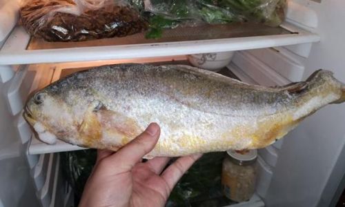 Can You Eat Thawed Frozen Fish Directly?A Comprehensive Guide to Safe Consumption