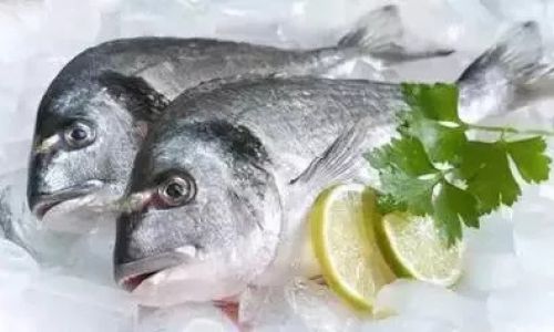 Can You Eat Thawed Frozen Fish Directly?A Comprehensive Guide to Safe Consumption
