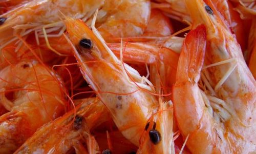 Mastering the Art of Cooking Frozen Shrimp:A Comprehensive Guide to Perfect Results Every Time