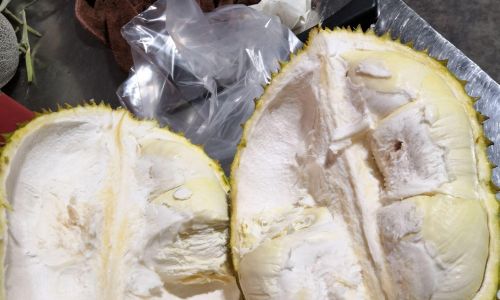 How to Savor Frozen Durian:A Comprehensive Guide to Enjoying This Icy Delight