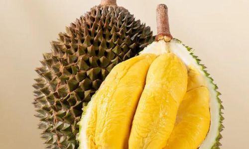 How to Savor Frozen Durian:A Comprehensive Guide to Enjoying This Icy Delight