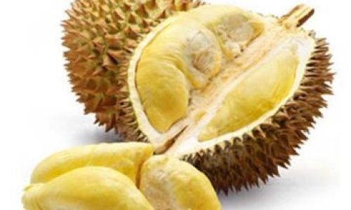 How to Savor Frozen Durian:A Comprehensive Guide to Enjoying This Icy Delight