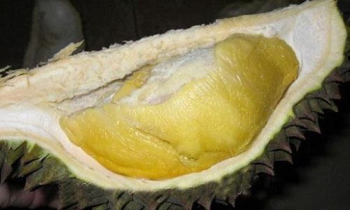 Can You Eat Frozen Durian Directly After Thawing?A Comprehensive Guide to Safe Consumption