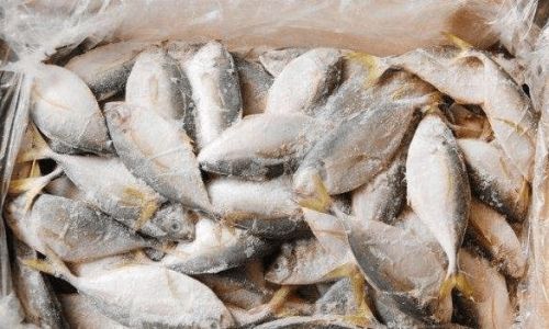 Mastering the Art of Cooking Frozen Red Snapper:Tips,Techniques,and Delicious Recipes