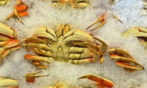 Mastering the Art of Cooking Frozen Crabs:A Comprehensive Guide to Perfect Timing and Techniques