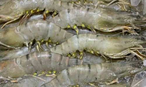 Mastering the Art of Cooking Frozen Prawns:A Comprehensive Guide to Perfect Timing and Techniques