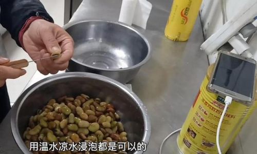 Mastering the Art of Cooking Frozen Broad Beans:A Comprehensive Guide