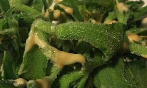 Mastering the Art of Cooking Ice Plant:Delicious Stir-Fry Recipes and Techniques