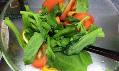 How to Craft a Delightful Ice Plant Salad:A Comprehensive Guide