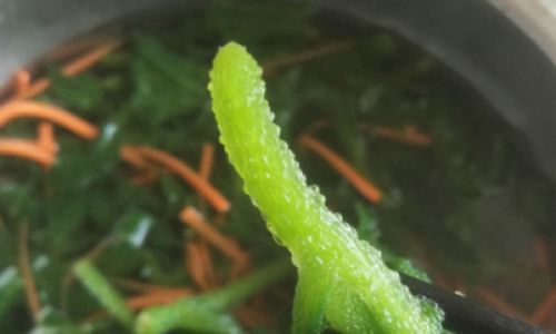 Can Ice Plant Be Stir-Fried?A Comprehensive Guide to Cooking This Crisp,Saline Delight