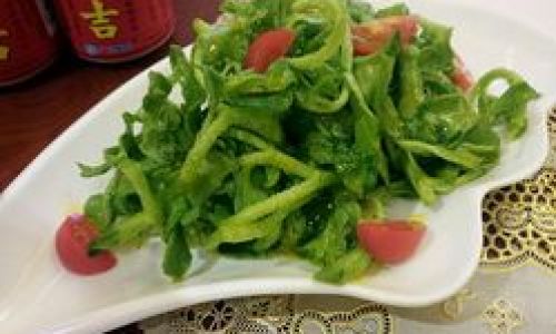 Can Ice Plant Be Stir-Fried?A Comprehensive Guide to Cooking This Crisp,Saline Delight