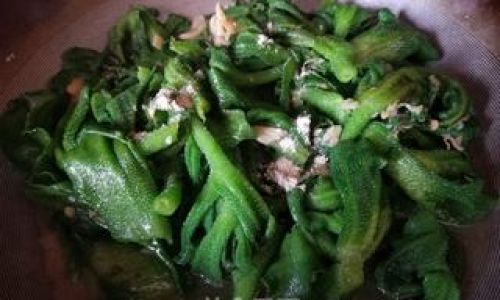 Mastering the Art of Cooking Ice Plant:Creative Recipes and Culinary Techniques