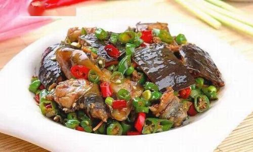 The Art of Cooking Turtle:Delicious Recipes and Culinary Techniques from Around the World
