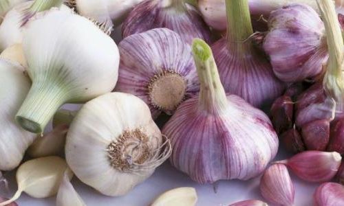 The Art of Crafting Aged Garlic:A Step-by-Step Guide to Transformative Flavors