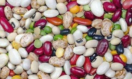 Mastering the Art of Freezing Lentils:A Comprehensive Guide to Preserving Nutrition and Flavor