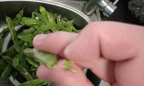 Mastering the Art of Freezing Lentils:A Comprehensive Guide to Preserving Nutrition and Flavor