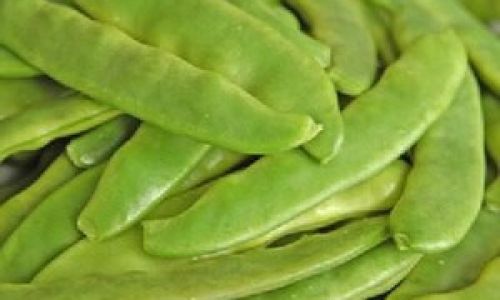 Can Lentils Be Cut and Dried Directly?A Comprehensive Guide to Preserving Lentils at Home
