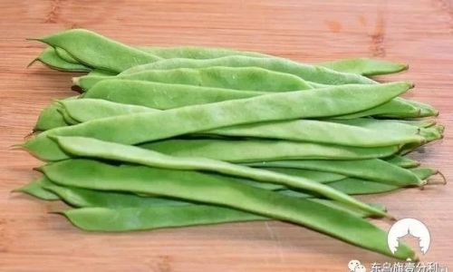 Can Lentils Be Cut and Dried Directly?A Comprehensive Guide to Preserving Lentils at Home
