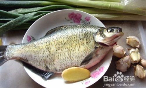 Optimal Strategies for Cultivating Larger and Healthier Bream Fish:A Comprehensive Guide