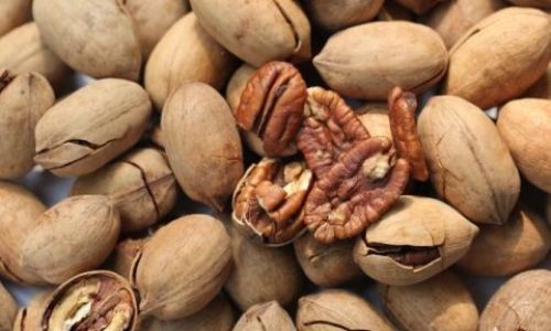 Unraveling the Bitterness:The Science Behind Pecans Astringent Taste