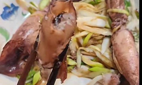 Mastering the Art of Cooking Squid Tubes:Delicious Recipes and Expert Techniques